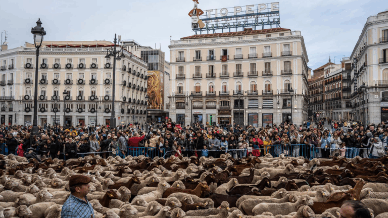trashumancia planes madrid octubre