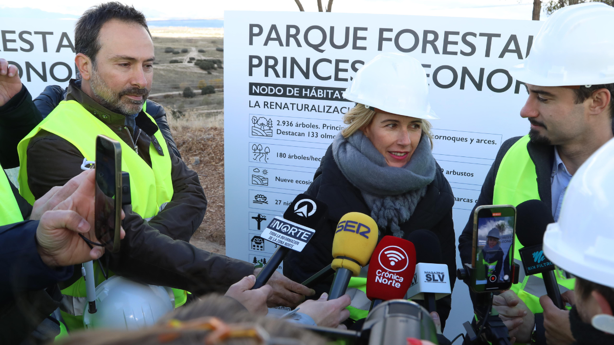 alcobendas arboles parque forestal princesa leonor (1)