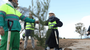 alcobendas arboles parque forestal princesa leonor