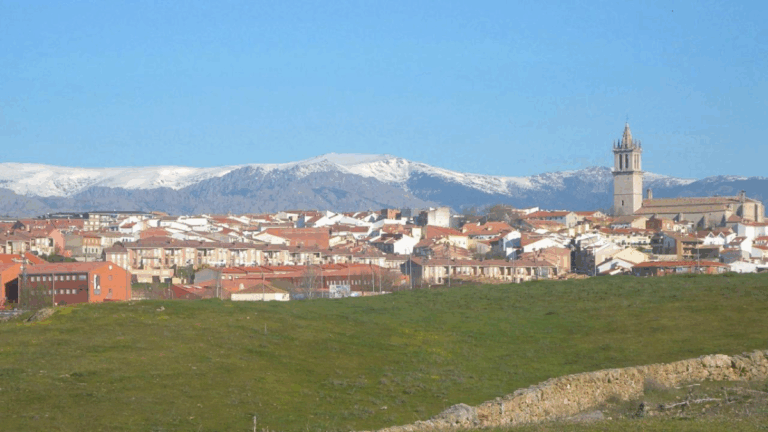 dia colmenar viejo