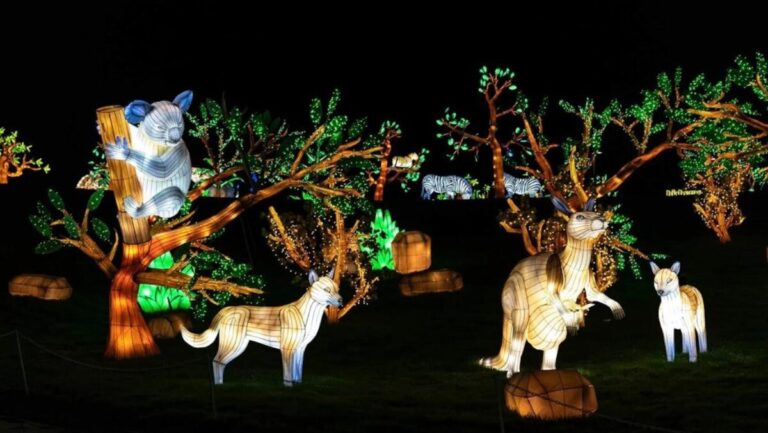 Getafe Brilla Zoo