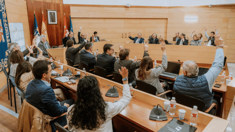 presupuestos las rozas 2026