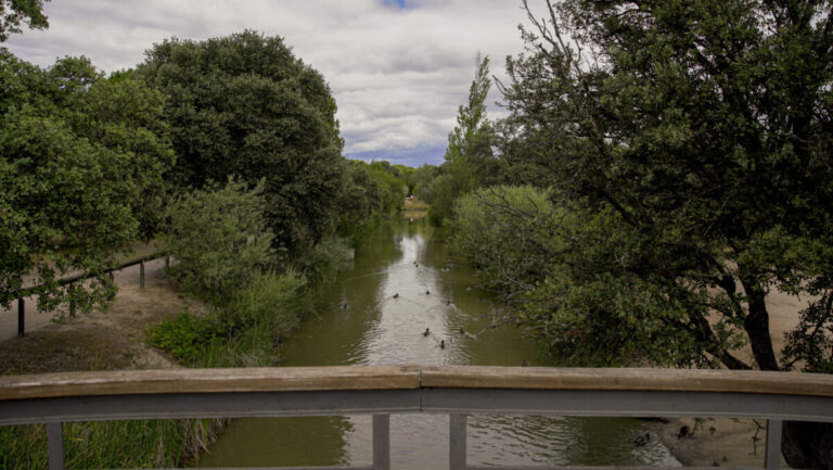 Las Rozas Arco Verde