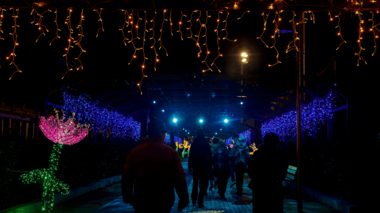 navidad parque santander instalacion