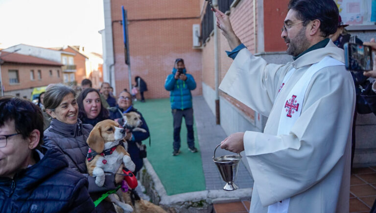 Colmenar Viejo San Antón