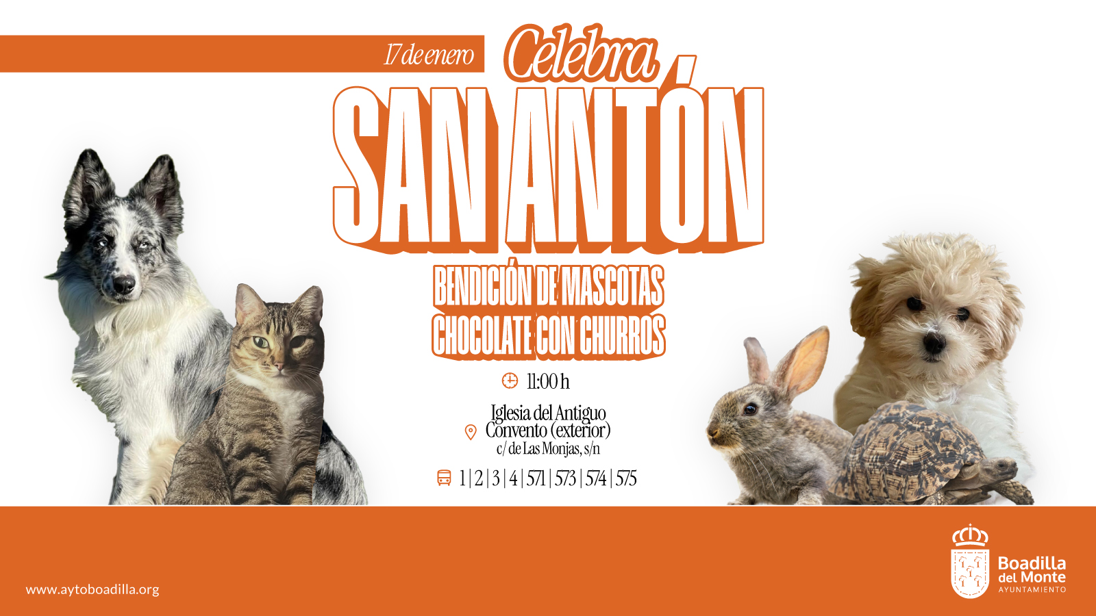 boadilla san anton bendicion mascotas