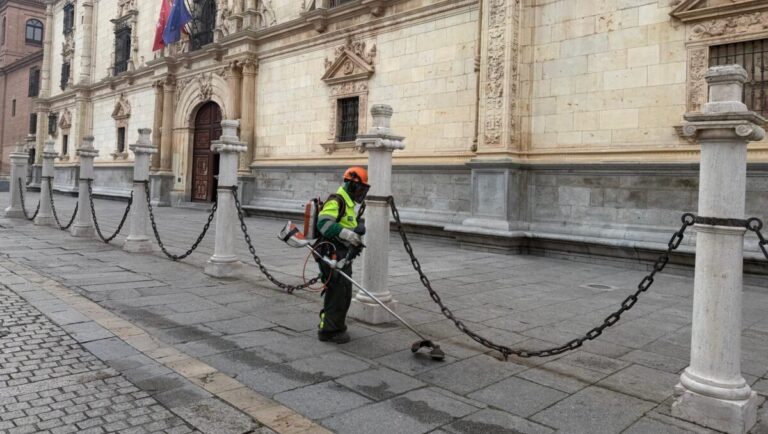 Alcalá campaña desbroce
