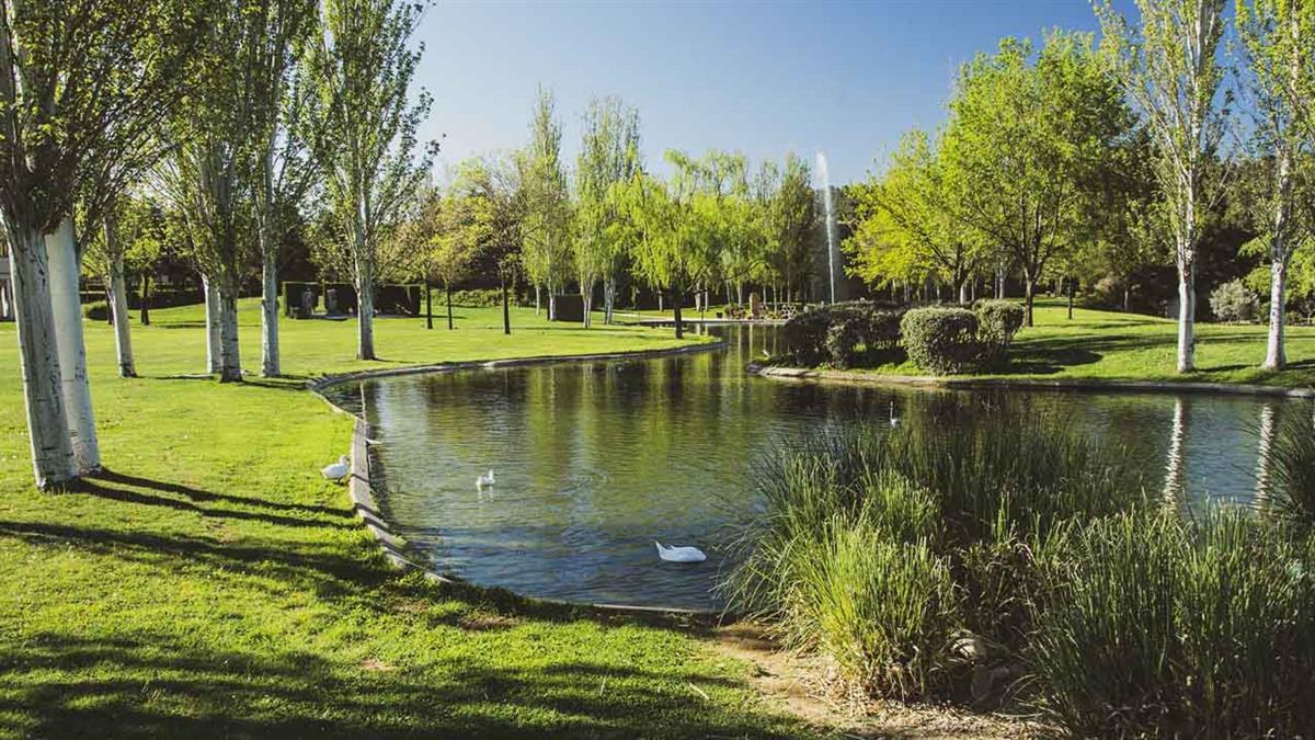 Alcalá impulsa ‘Parques con Vida’, su mayor transformación de zonas verdes en 25 años