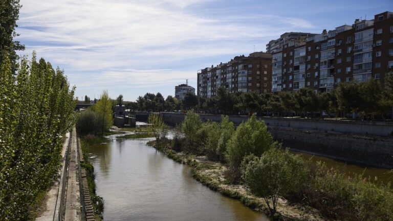 visitas guiadas Madrid