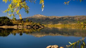 Madrid actividades verano