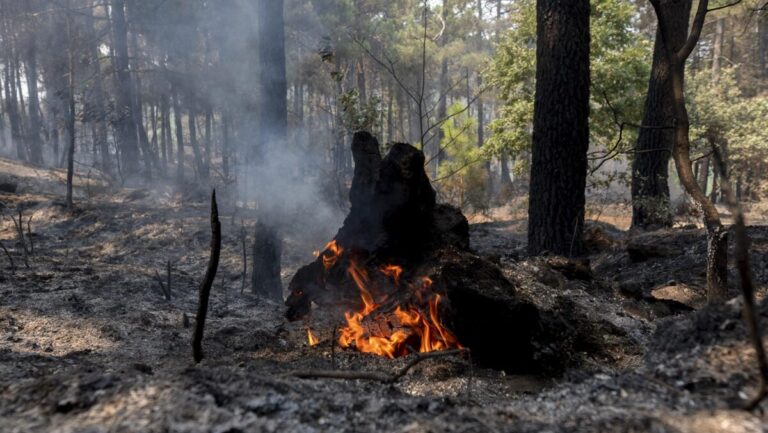 incendios carreteras
