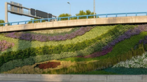 Boadilla carretera