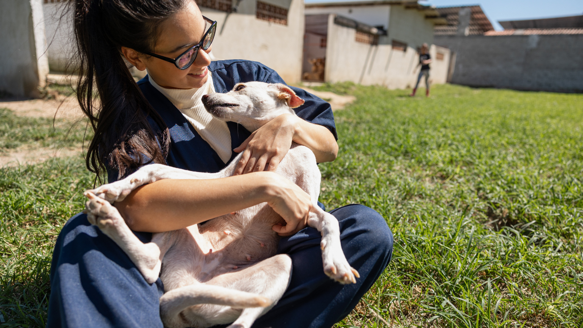 Pozuelo de Alarcón tendrá un nuevo Centro de Bienestar Animal