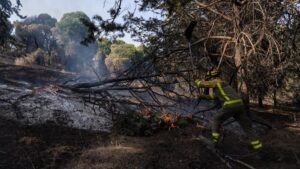 incendio Aldea del Fresno