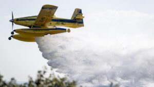 incendio de Aldea del Fresno