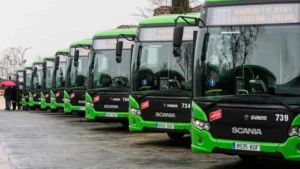 autobús Alcorcón fiestas