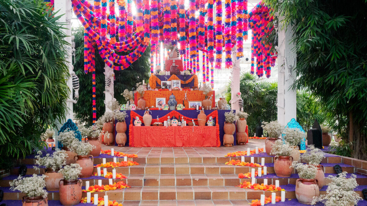 Día de Muertos altares