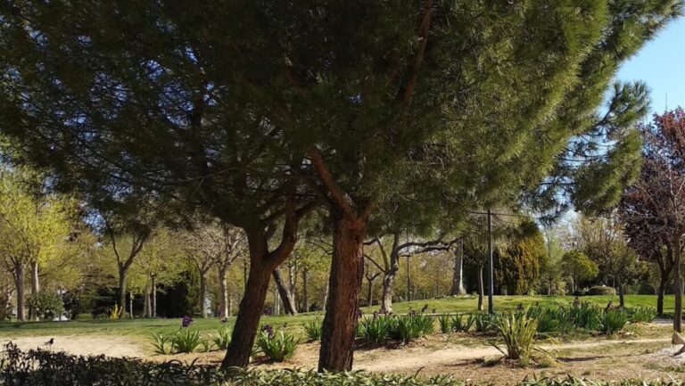 Getafe museo aire libre